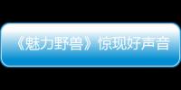 《魅力野獸》驚現好聲音高音王張瑋 【娛樂新聞】風尚中國網