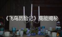 《飛鳥歷險記》高能揭秘動畫的誕生