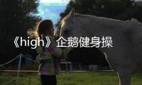 《high》企鵝健身操減肥作用大揭秘