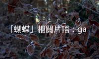 「蝴蝶」相關片語：gaudy as a butterfly是什麼意思？