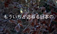 もういちど訪ねる日本の美下(關于もういちど訪ねる日本の美下簡述)