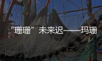 “珊珊”未來遲——瑪珊與瑚珊