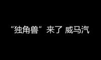 “獨(dú)角獸”來了 威馬汽車首款車3月28日下線