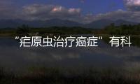 “瘧原蟲治療癌癥”有科學(xué)根據(jù)嗎？學(xué)者：是在吹牛