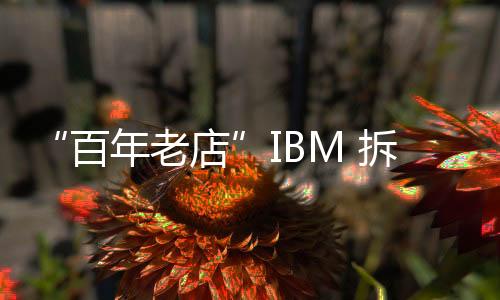 “百年老店”IBM 拆分：IBM拆分是重生還是衰落?