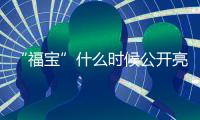 “福寶”什么時候公開亮相？什么時候談戀愛？官方回復