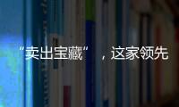 “賣出寶藏”，這家領先的液化氣運輸公司退出VLGC領域