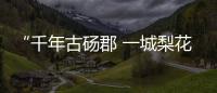 “千年古碭郡 一城梨花香” 第29屆?中國碭山梨花節(jié)開幕