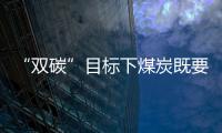 “雙碳”目標下煤炭既要踐行脫碳轉型更要重視兜底保障