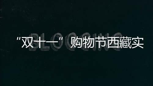 “雙十一”購物節西藏實現網絡零售額18.8億元