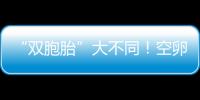 “雙胞胎”大不同！空卵泡VS正常卵泡它倆的區別在這里