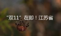 “雙11”在即！江蘇省消保委提醒您：理性消費(fèi) 按需購買