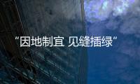 “因地制宜?見縫插綠” 上海今年新建立體綠化43.1萬平方米