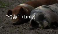 “伶荔”(Linly) 開源大規模中文語言模型