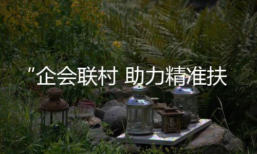 “企會(huì)聯(lián)村 助力精準(zhǔn)扶貧”座談會(huì)召開