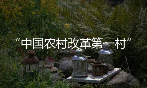 “中國(guó)農(nóng)村改革第一村”小崗有了世界名片_