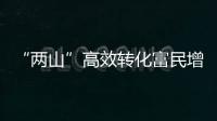 “兩山”高效轉化富民增收 竹產業全產業鏈發展煥發新活力