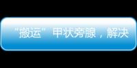 “搬運(yùn)”甲狀旁腺，解決腎病難題，這是什么操作？