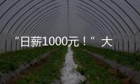 “日薪1000元！”大學(xué)生境外求職，竟身陷緬北