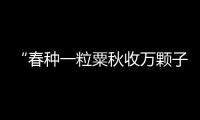 “春種一粒粟秋收萬顆子?！比娰p析