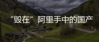 “毀在”阿里手中的國產品牌,你知道幾個有品牌已官宣停服