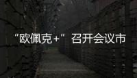 “歐佩克+”召開會議市場預測主要產油國將再減產