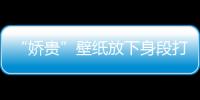 “嬌貴”壁紙放下身段打入市場(chǎng) 環(huán)保材質(zhì)市場(chǎng)熱度高