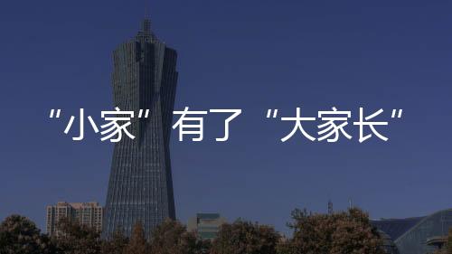 “小家”有了“大家長”