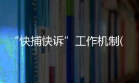 “快捕快訴”工作機制(關(guān)于“快捕快訴”工作機制簡述)