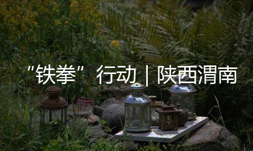 “鐵拳”行動｜陜西渭南：查獲山寨白酒百余瓶