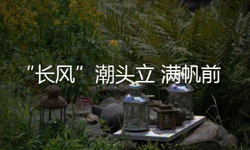 “長(zhǎng)風(fēng)”潮頭立 滿帆前進(jìn)時(shí)_