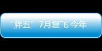 “胖五”7月復飛 今年中國宇航發射將保持“30+”