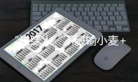 “邊緣人”不服輸小麥+馬奎爾本賽季此前出場合計不到300分鐘
