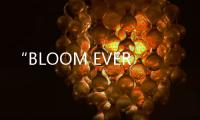 “BLOOM EVERMORE”摩邦世家高級珠寶煥耀倫敦