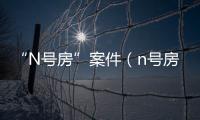 “N號房”案件（n號房創建人獲刑34年）