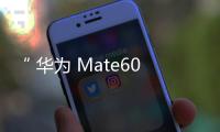 “ 華為 Mate60 遭老罪了 ”沖上熱搜，手機質量遙遙領先！