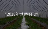 “2018年世界杯巴西隊長”主題解決網友的困惑(組圖)