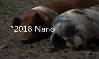 “2018 Nano Research 青年創(chuàng)新獎(jiǎng)”獲獎(jiǎng)人專刊開放限時(shí)下載 – 材料牛