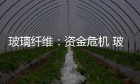 玻璃纖維：資金危機 玻纖行業(yè)依然增長,市場研究