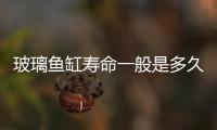 玻璃魚缸壽命一般是多久  玻璃魚缸如何挑選玻璃膠,行業資訊