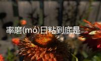 率磨(mó)曰粘到底是什么原因？