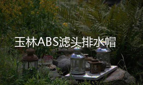 玉林ABS濾頭排水帽