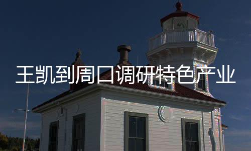 王凱到周口調研特色產業發展和鄉村振興工作