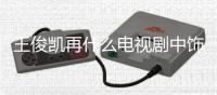 王俊凱再什么電視劇中飾演保慶？