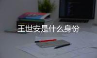 王世安是什么身份