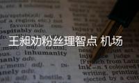 王昶勸粉絲理智點(diǎn) 機(jī)場(chǎng)熱情險(xiǎn)丟行李