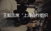 王毅出席“上海合作組織：歷史、現(xiàn)狀和前景”圓桌會(huì)議