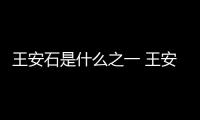 王安石是什么之一 王安石被稱之為什么之一