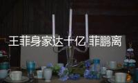 王菲身家達十億 菲鵬離婚或將分的一半【風尚娛樂網】風尚中國網