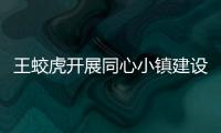 王蛟虎開展同心小鎮建設督查及旅游調研